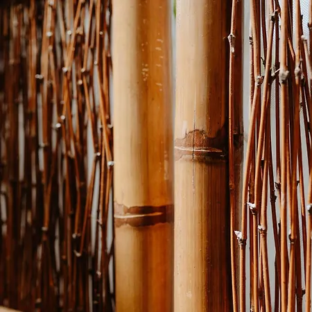 Residenza Alpaluba Daire Vasto