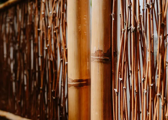 Residenza Alpaluba Apartmán Vasto